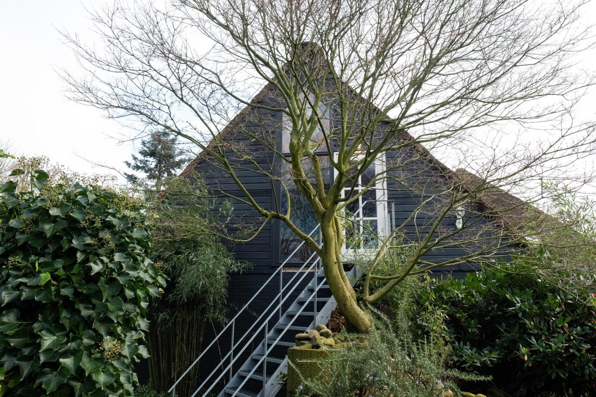 Dream Apartments Hoogwoud Exterior foto